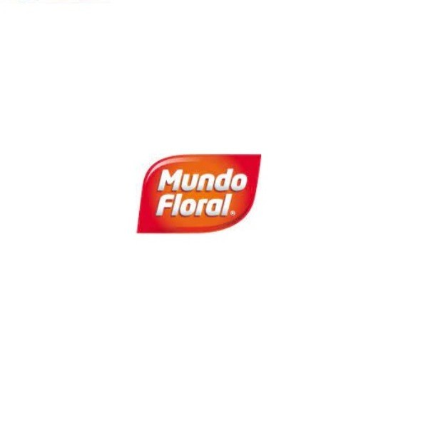 MUNDO FLORAL