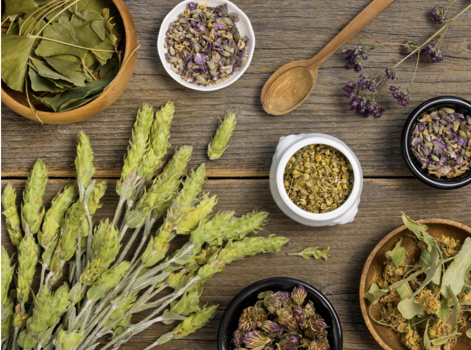 Naturopatía & Fitoterapia