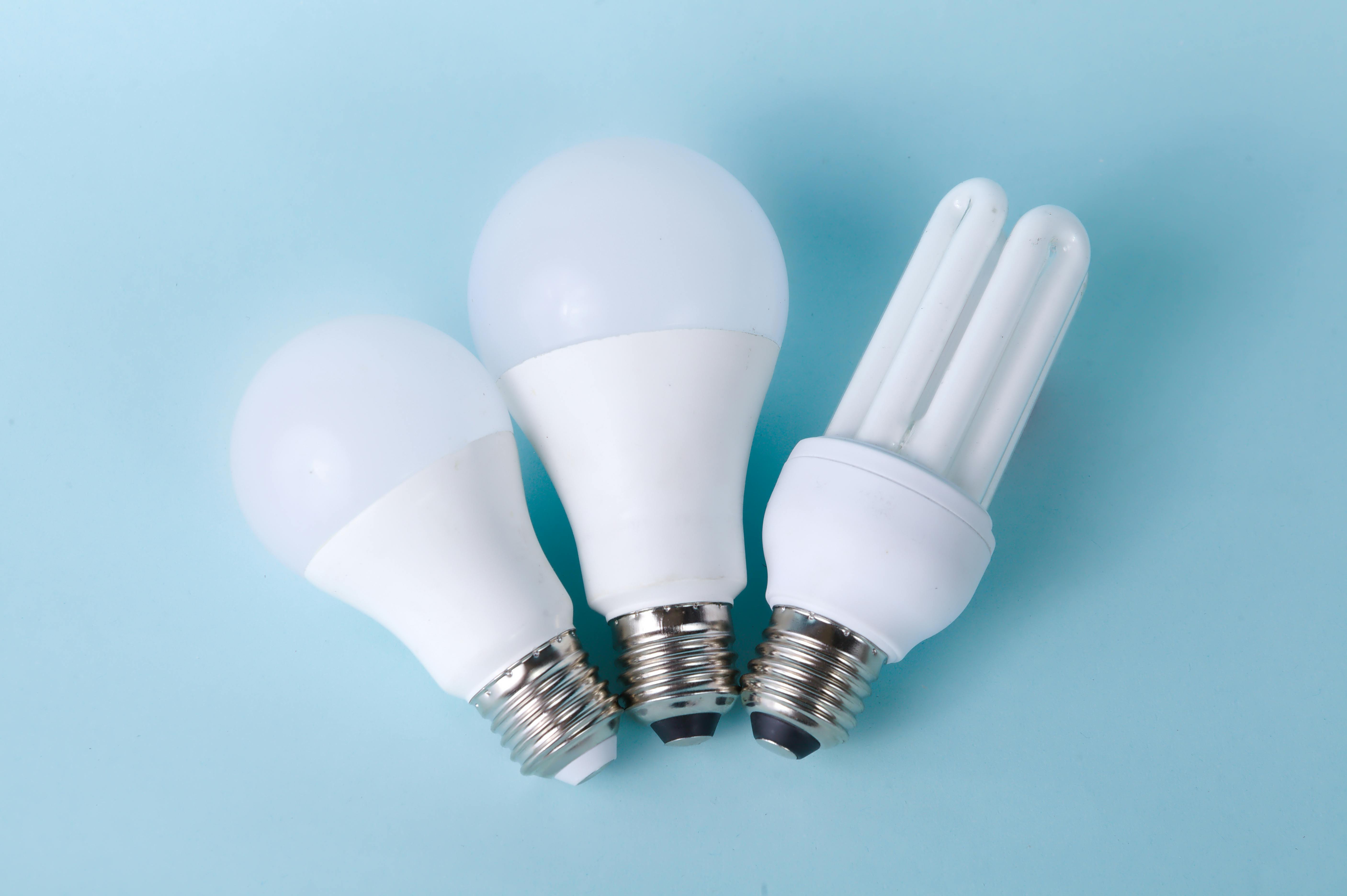Bombillas LED y Halógenas