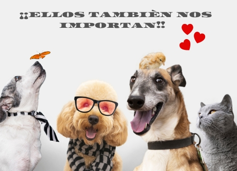 Mascotas