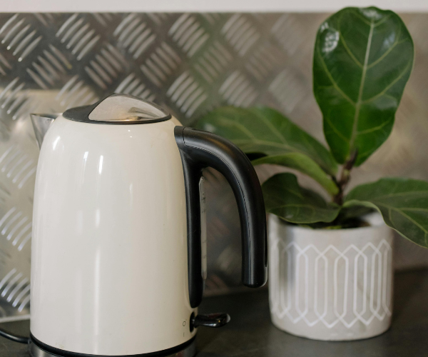 Pequeño Electrodoméstico